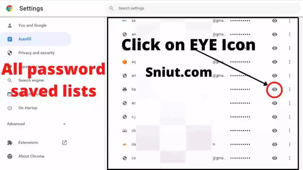 View Passwords in Google Chrome step 3