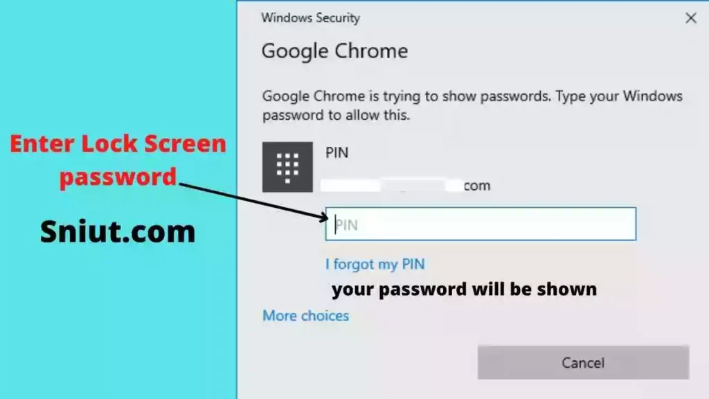 View Passwords in Google Chrome step 4